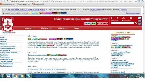 У ВНУ кажуть, що підтримують Палицю, – заява